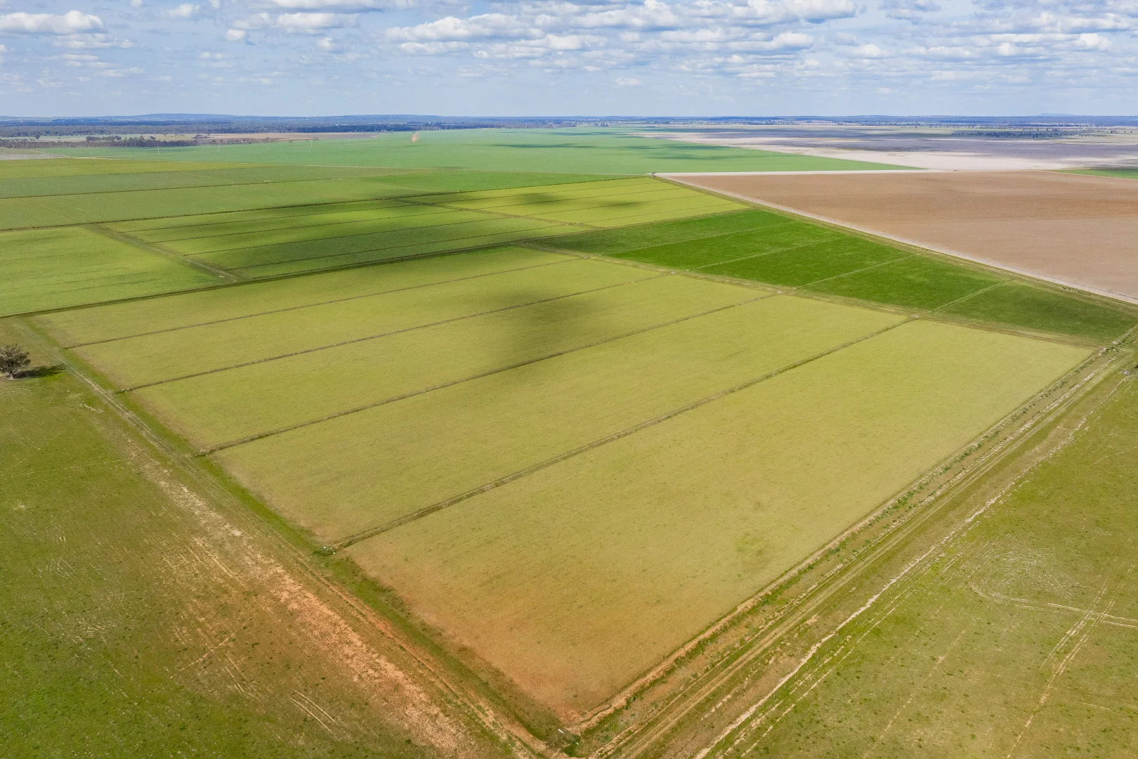 Additional image 6 of 10755 Sturt Highway, Narrandera NSW 2700