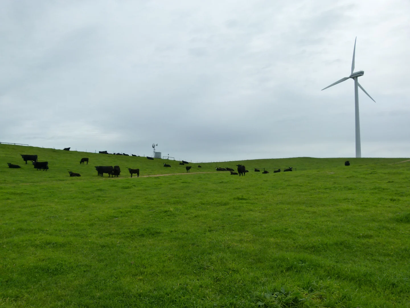 Additional image 16 of 1683 Canunda Frontage Road, Tantanoola SA 5280