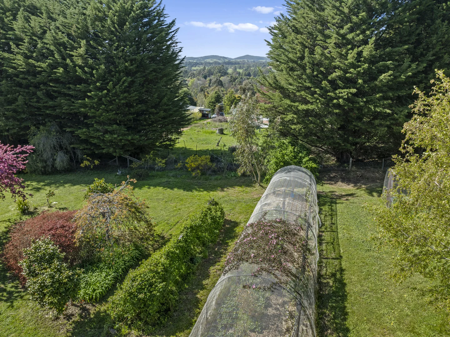 Additional image 23 of 2122 Euroa-Strathbogie Road, Strathbogie VIC 3666