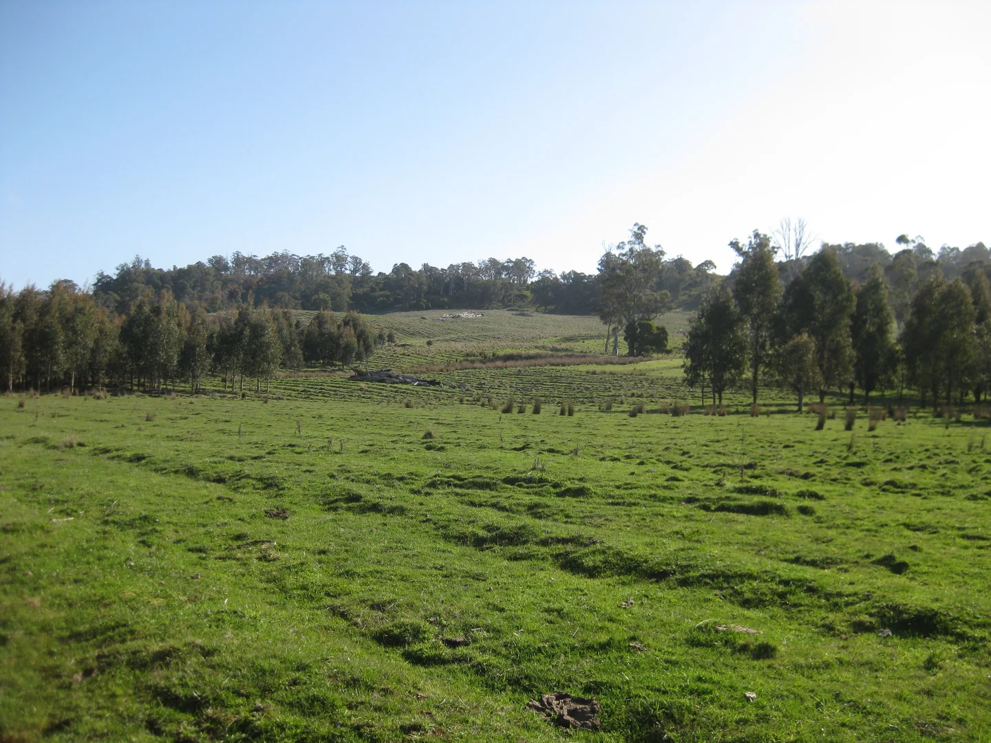 Additional image 18 of 8415 Lyell Highway, Ouse TAS 7140