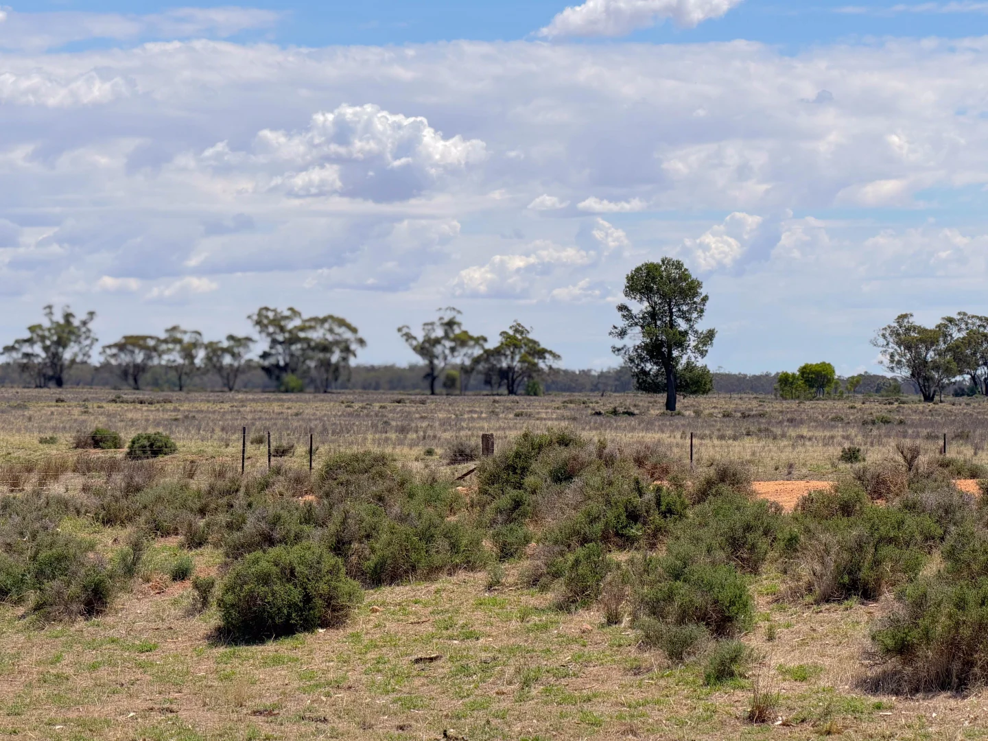 Additional image 7 of 735 Clear Ridge Road, Wyalong NSW 2671