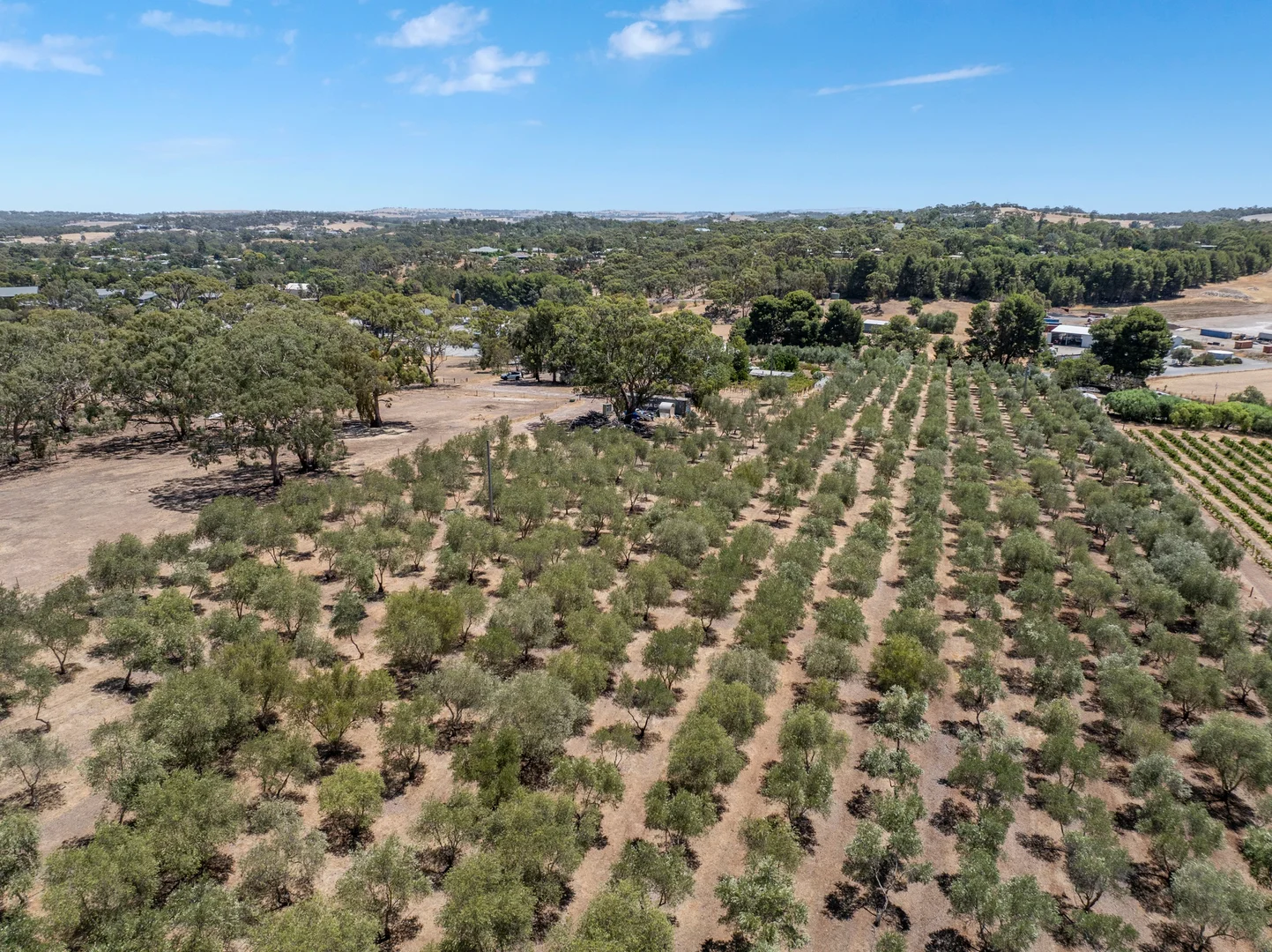 Additional image 32 of 134 Farrell Flat Road, Clare SA 5453
