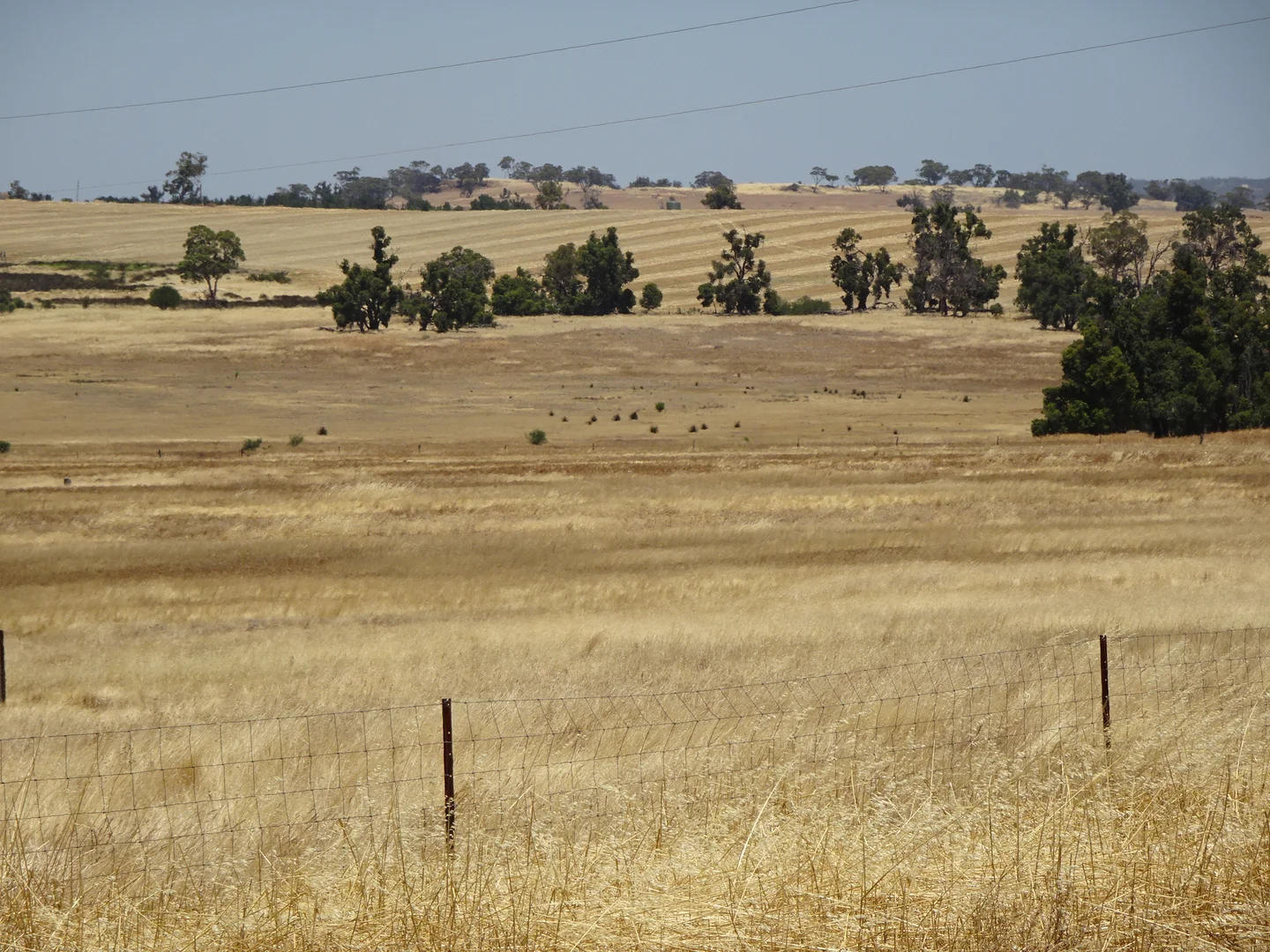 Additional image 8 of 160 Chittleborough Road, Brookton WA 6306