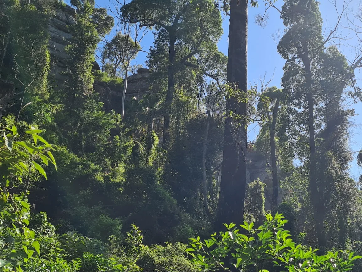 Additional image 15 of Illaroo NSW 2540