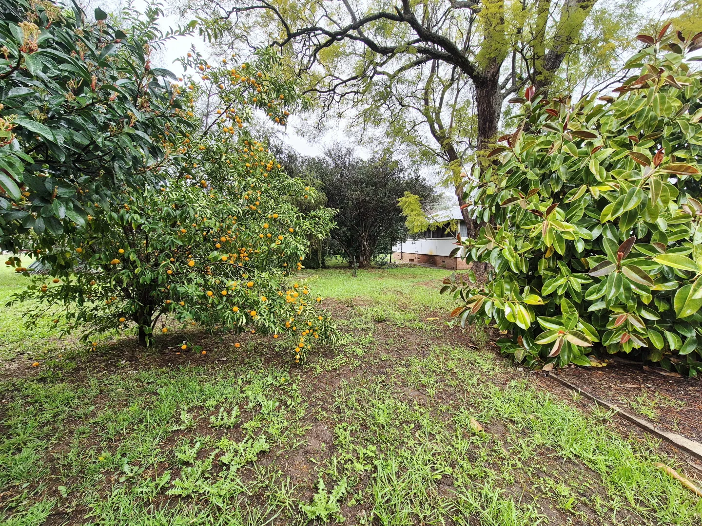 Additional image 3 of 3 Myall Street, Eugowra NSW 2806