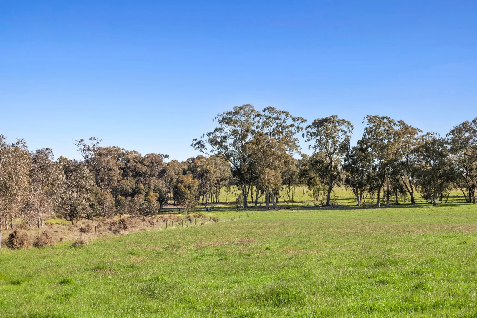 Additional image 15 of 189 Siddles Road, Redesdale VIC 3444