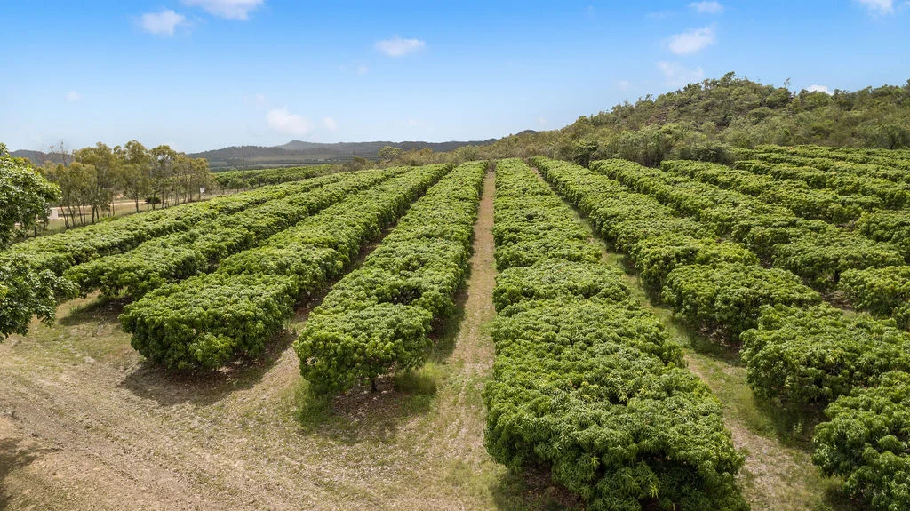 Additional image 7 of 1151 Leafgold Weir Road, Dimbulah QLD 4872