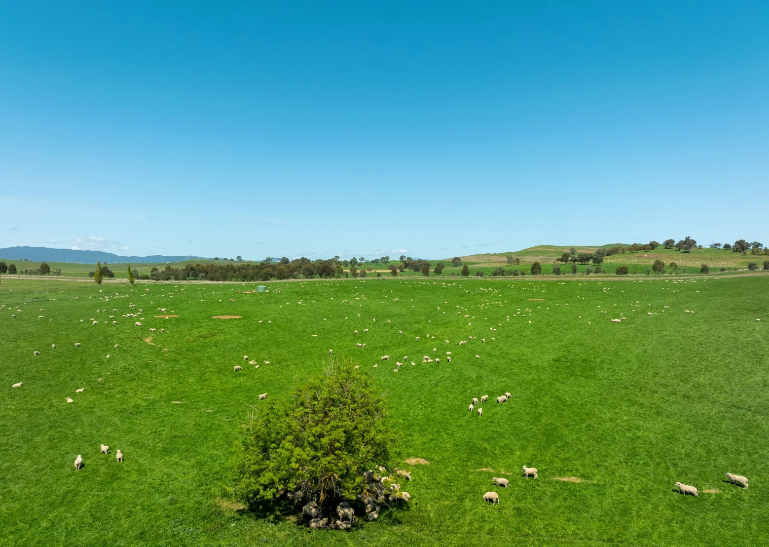 Additional image 27 of 95 Stoneys Road, Mansfield VIC 3722
