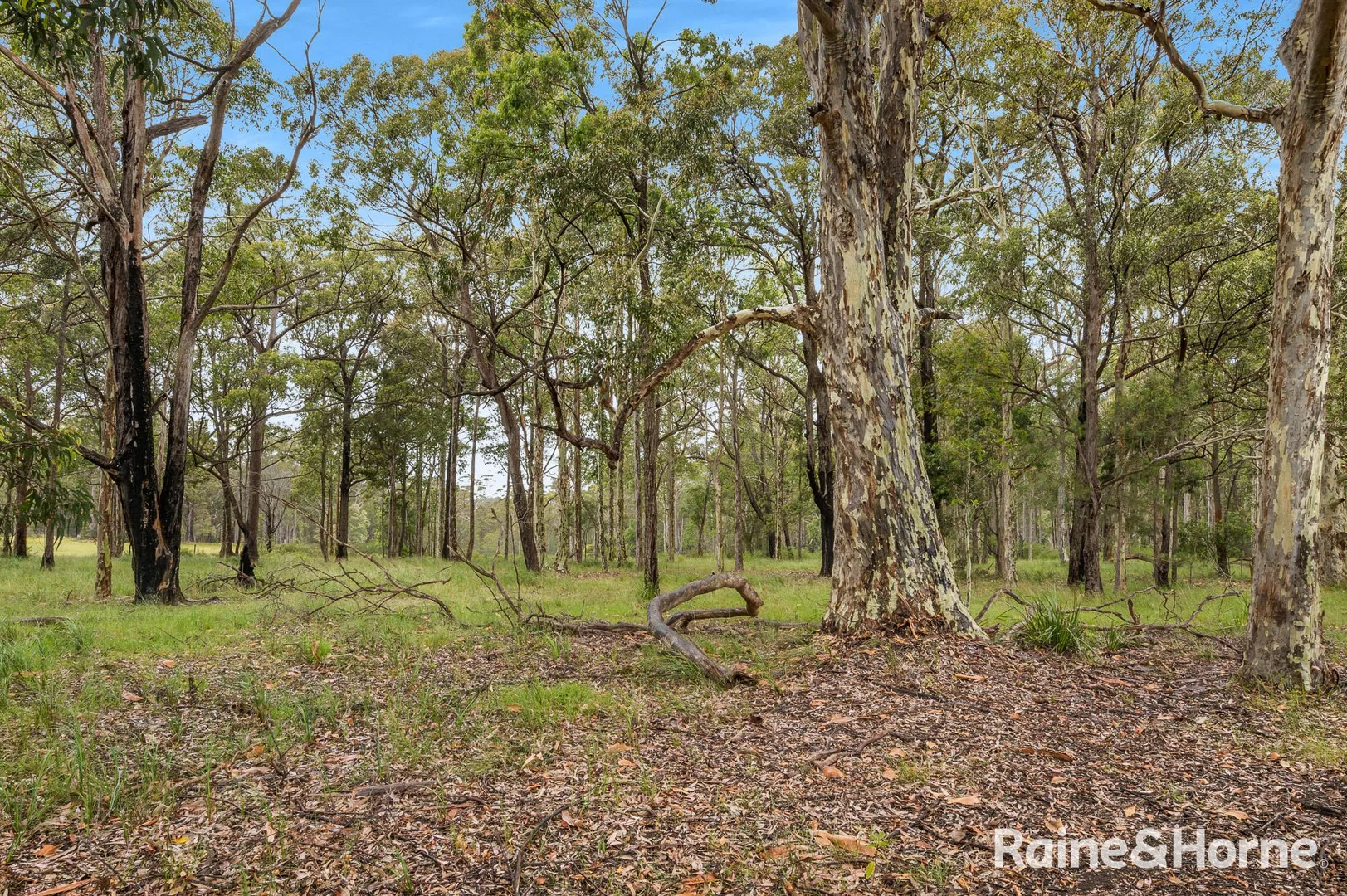 Additional image 8 of 49a Woollamia Road, Falls Creek NSW 2540