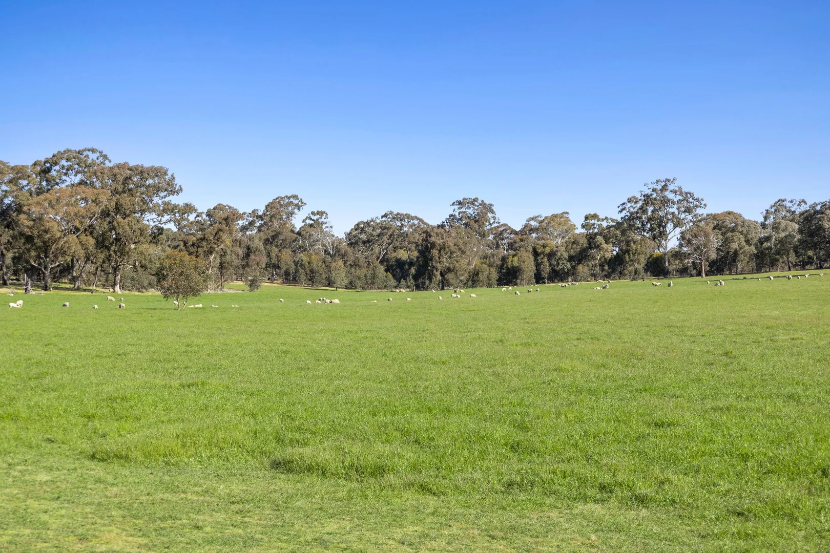 Additional image 9 of 189 Siddles Road, Redesdale VIC 3444