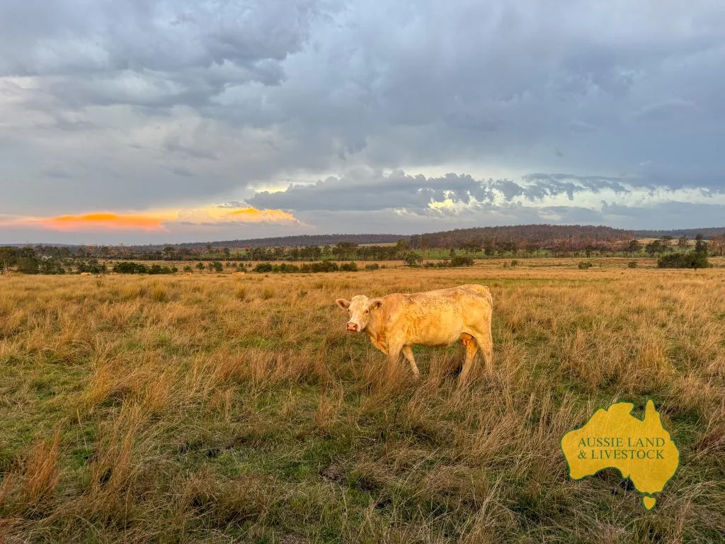 Additional image 15 of 373 Ormonde Road, Monogorilby QLD 4626