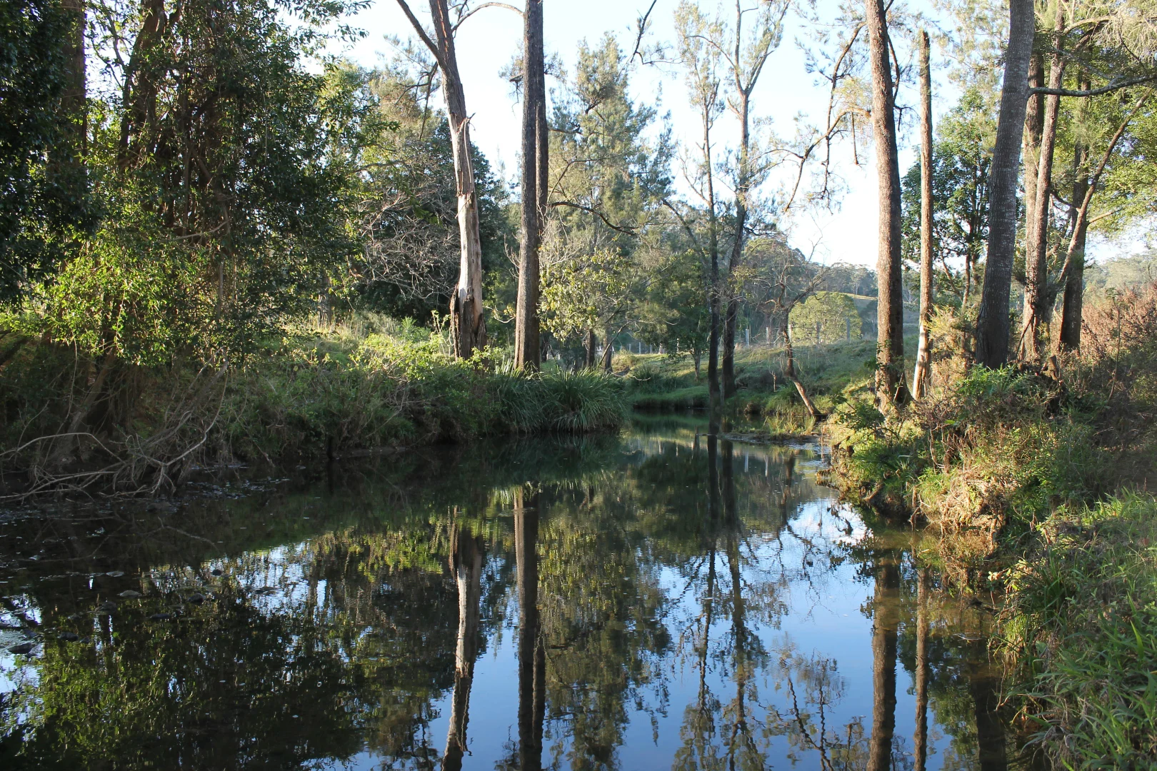 Additional image 7 of 665 Theresa Creek Road, Theresa Creek NSW 2469