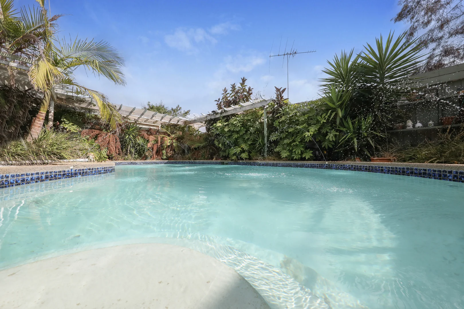 Additional image 7 of 51 St Albans Street, St Albans Park VIC 3219