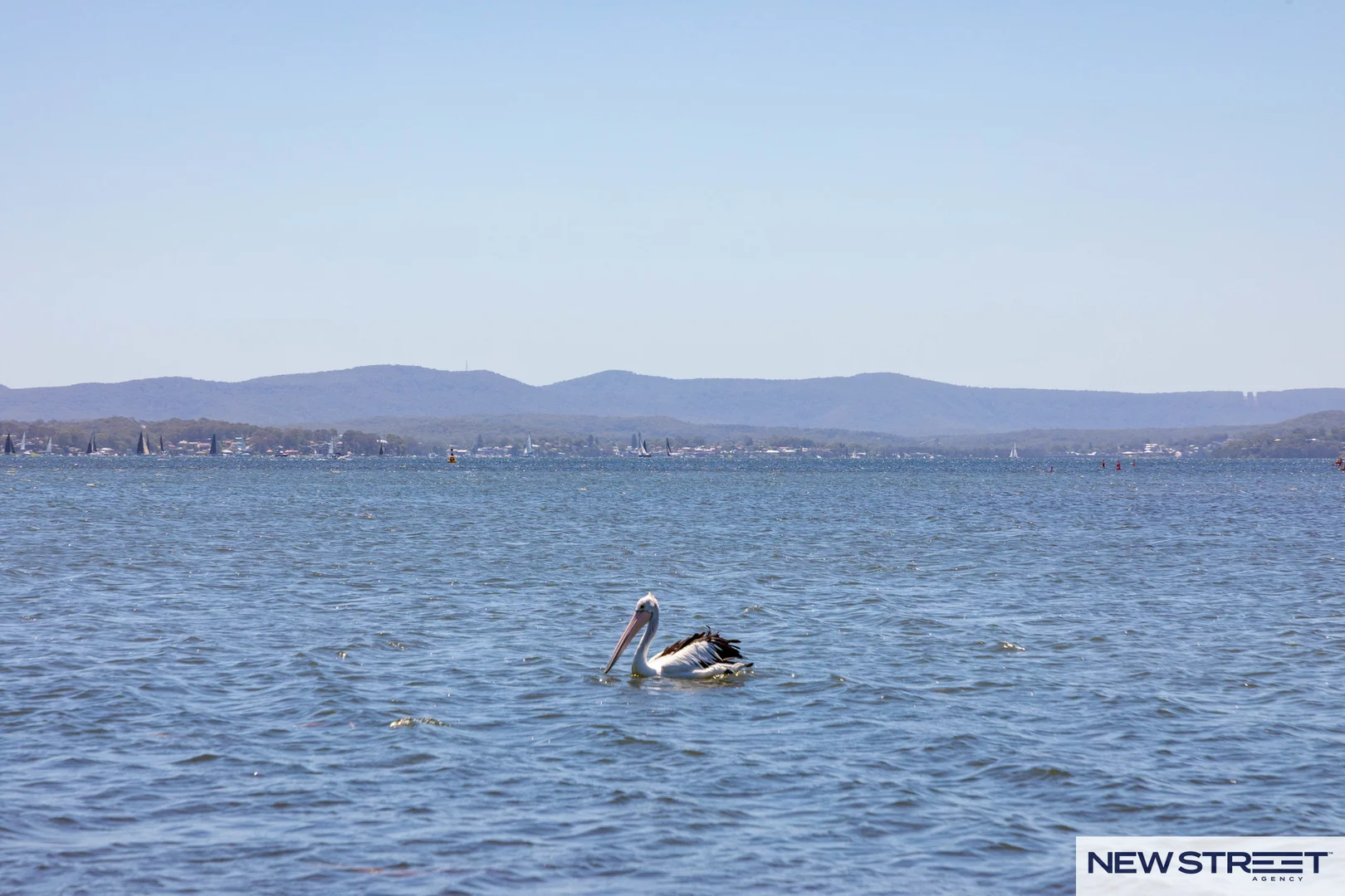 Additional image 5 of 16 Marks Point Road, Marks Point NSW 2280