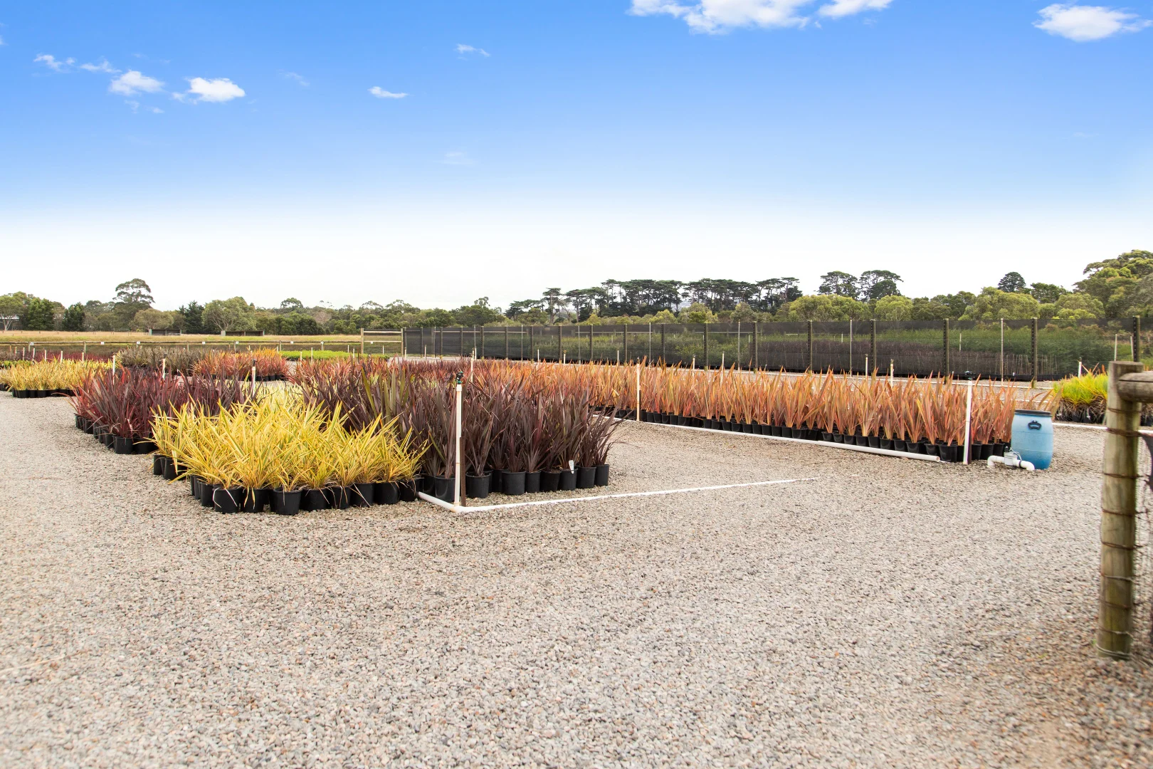 Additional image 23 of 218/218a Coolart Road, Moorooduc VIC 3933