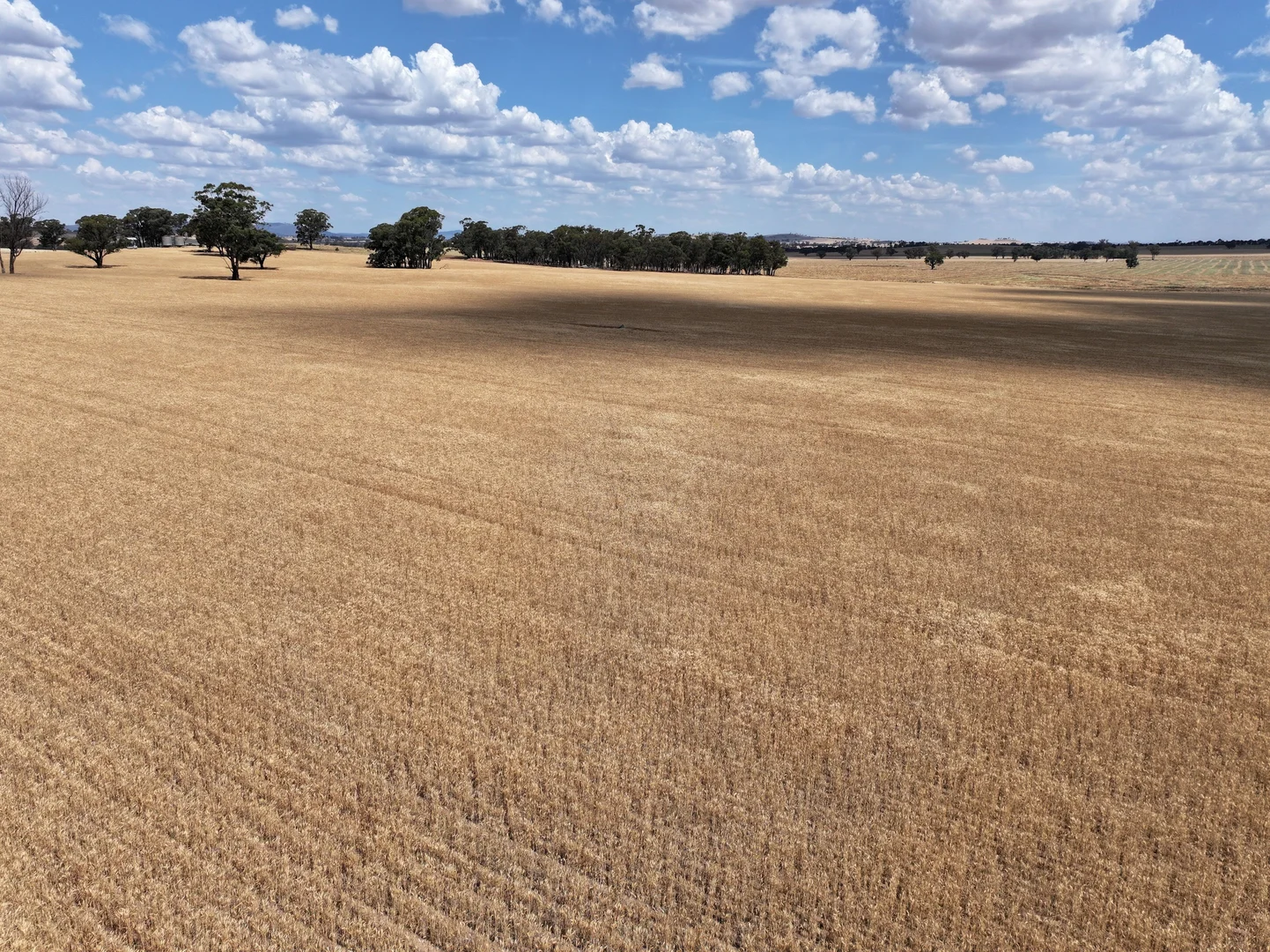 Additional image 4 of 'Quondi', Dirnaseer Road, Combaning NSW 2666
