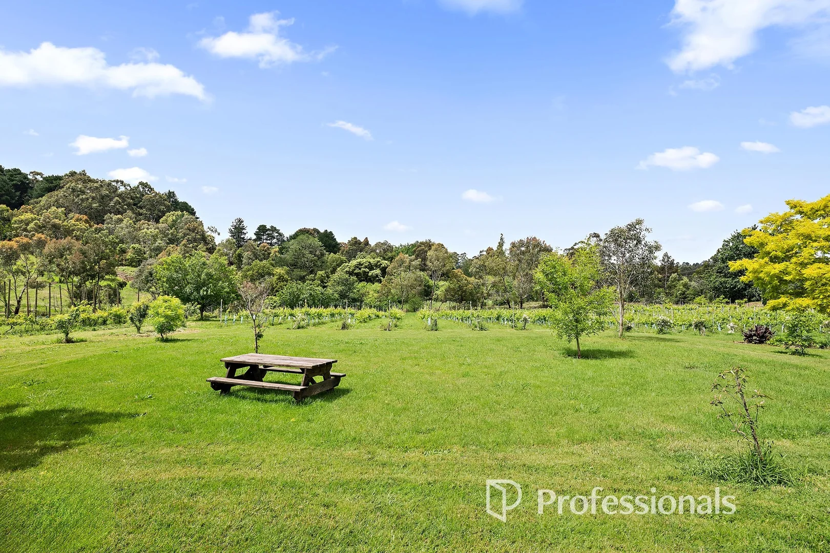 Additional image 16 of 539 Queens Road, Seville VIC 3139