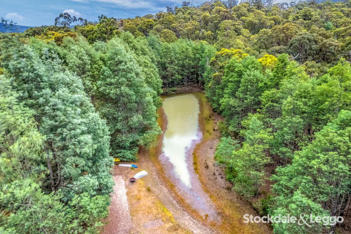 Additional image 10 of 415 Traralgon Balook Road, Callignee VIC 3844