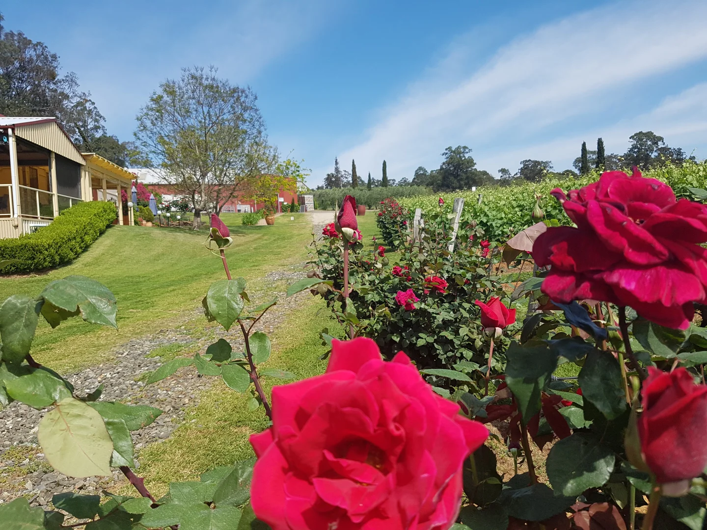 Additional image 10 of 725 Hermitage Road, Pokolbin NSW 2320