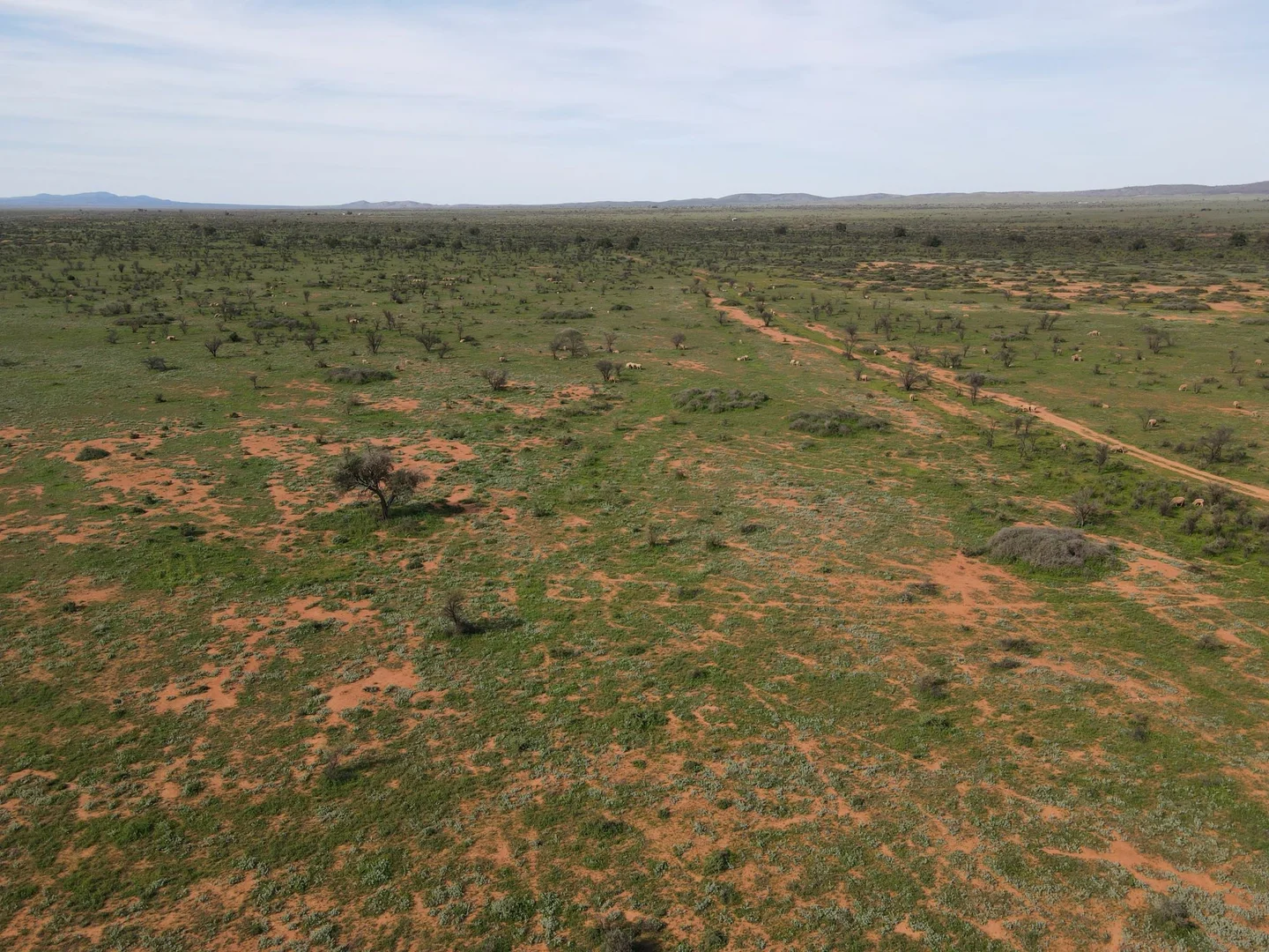 Additional image 3 of 'Acacia Ridge' 511 Tapscott Rd, Orroroo SA 5431