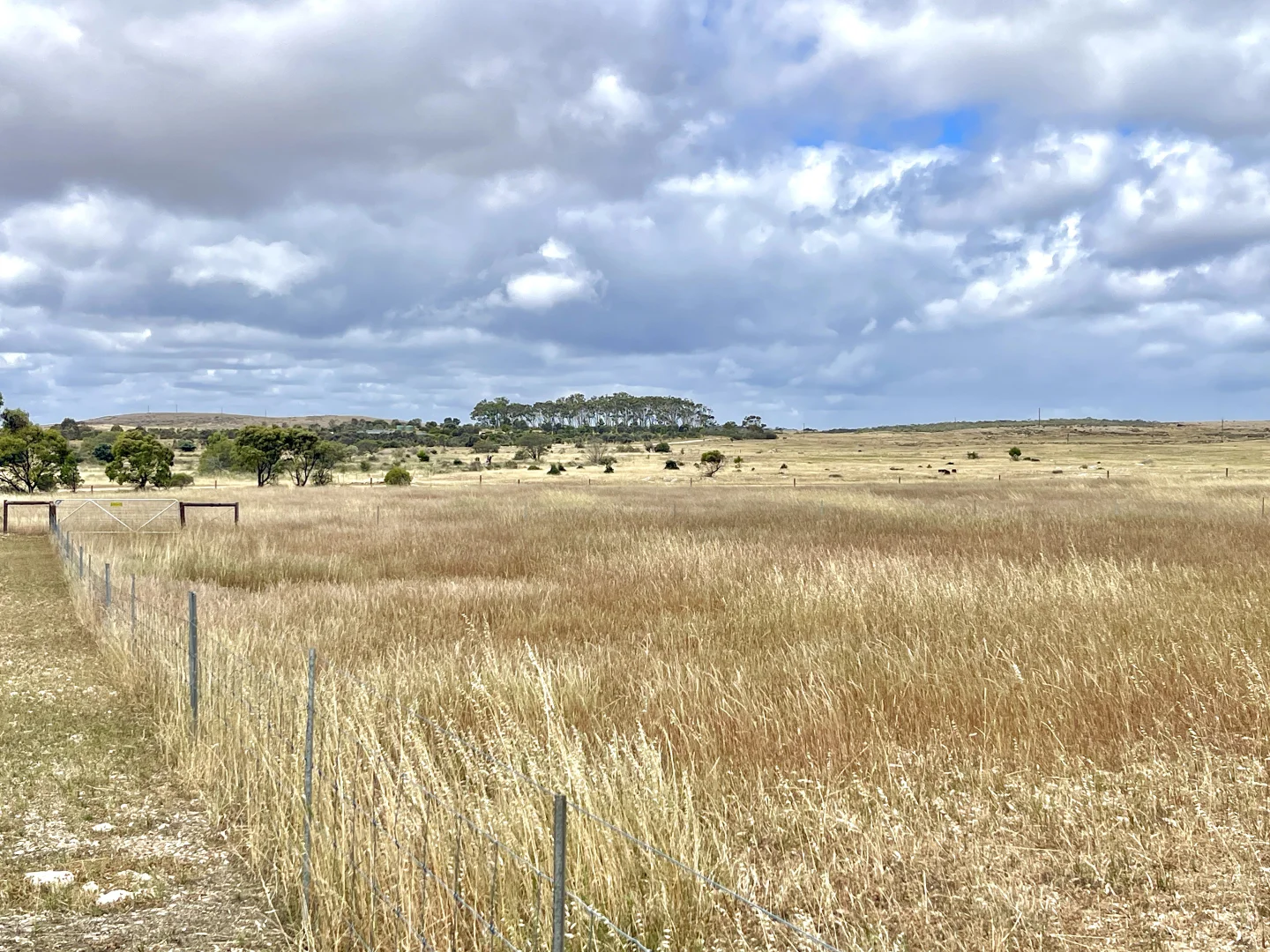 Additional image 10 of 22 Old Coach Road, Bramfield SA 5670