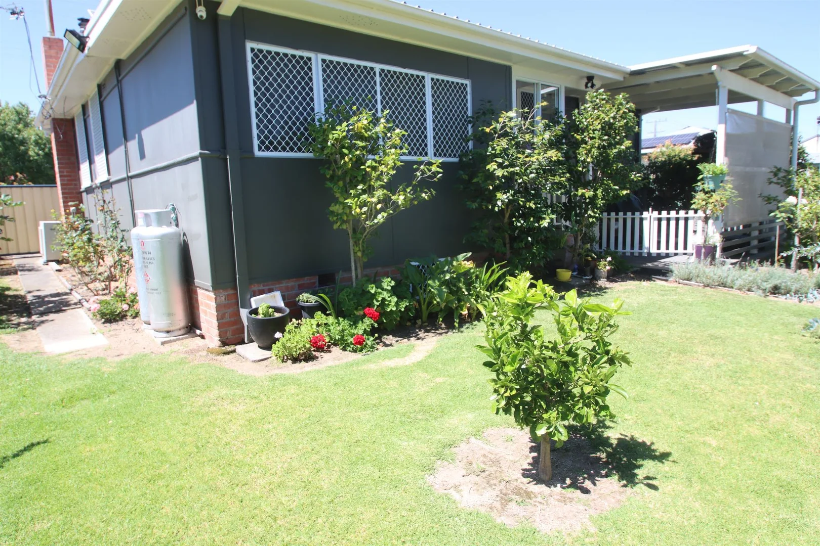 Additional image 17 of 59 Manners Street, Tenterfield NSW 2372