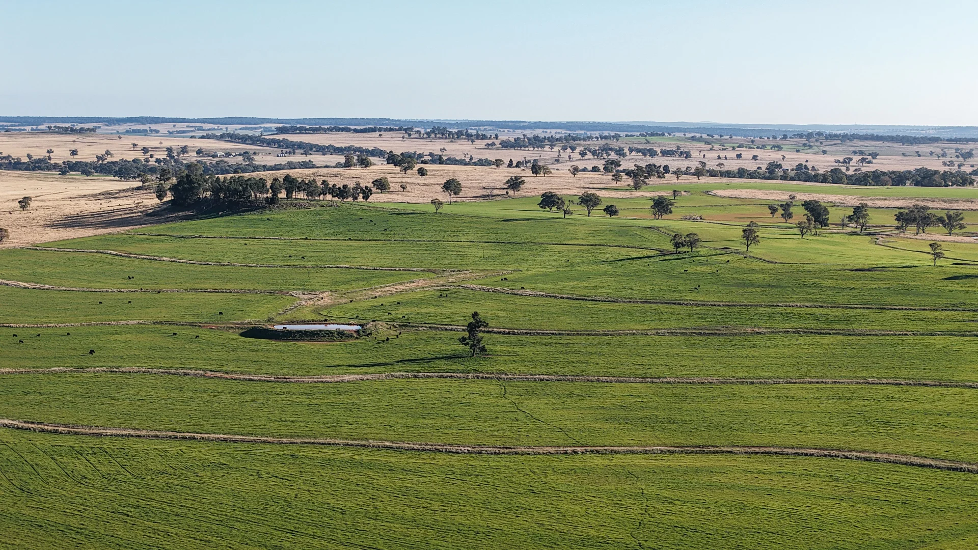 Additional image 6 of 38 Tallawonga Road, Elong Elong NSW 2831