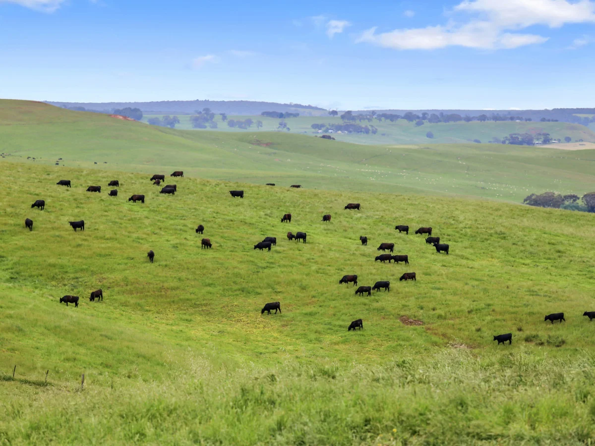 Additional image 32 of 64 Ford Luers Road, Casterton VIC 3311