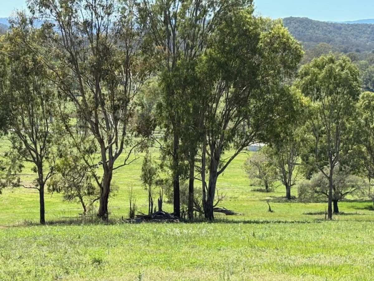 Additional image 9 of Lot 2/10350 Mt Lindesay Highway, Rathdowney QLD 4287