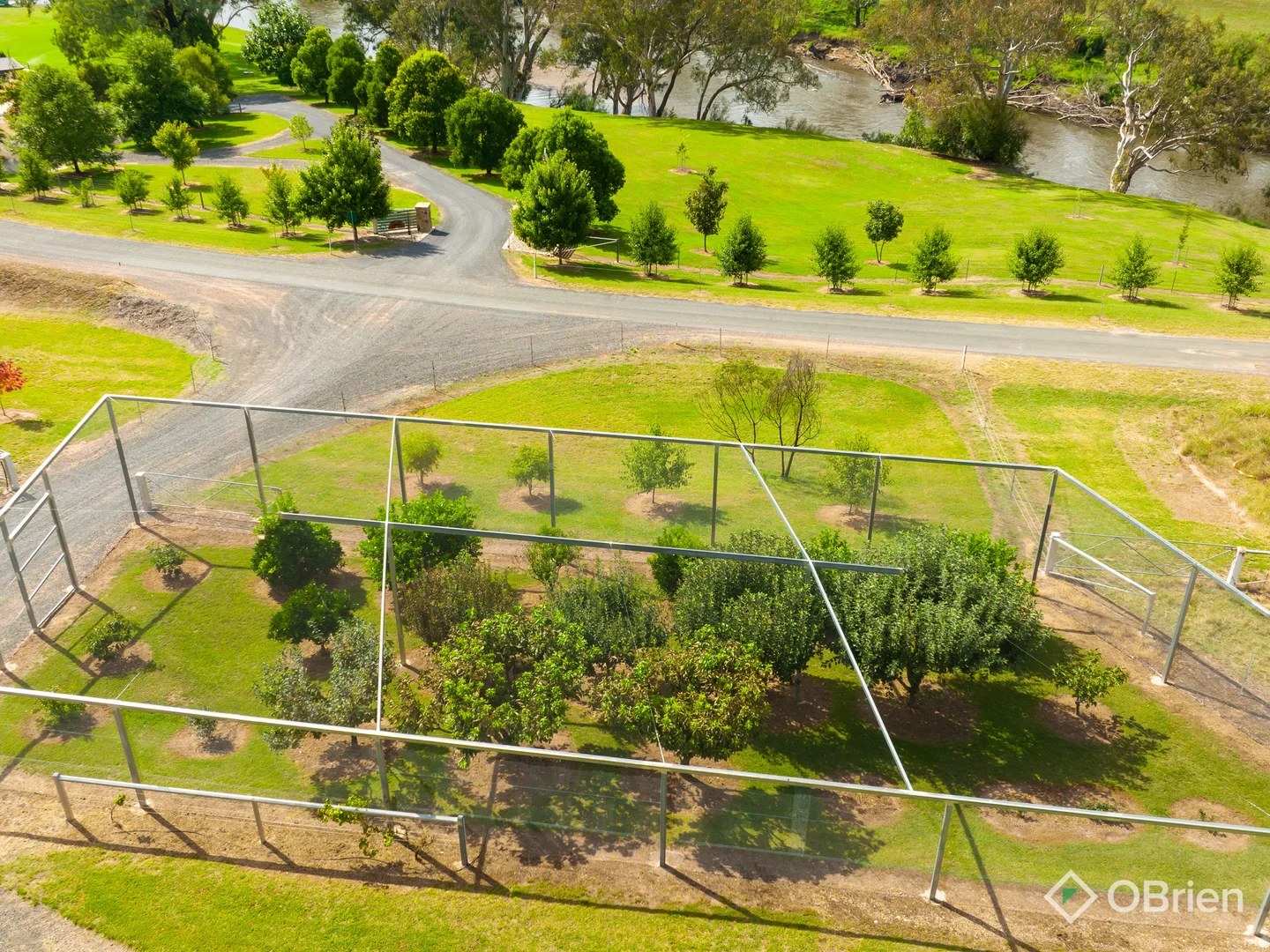 Additional image 42 of 4099 River Road, Jingellic NSW 2642