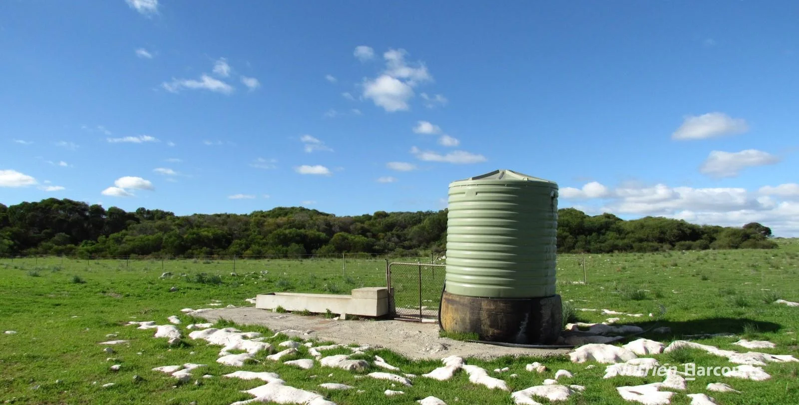 Additional image 10 of 40 Matsen Road, Dongara WA 6525