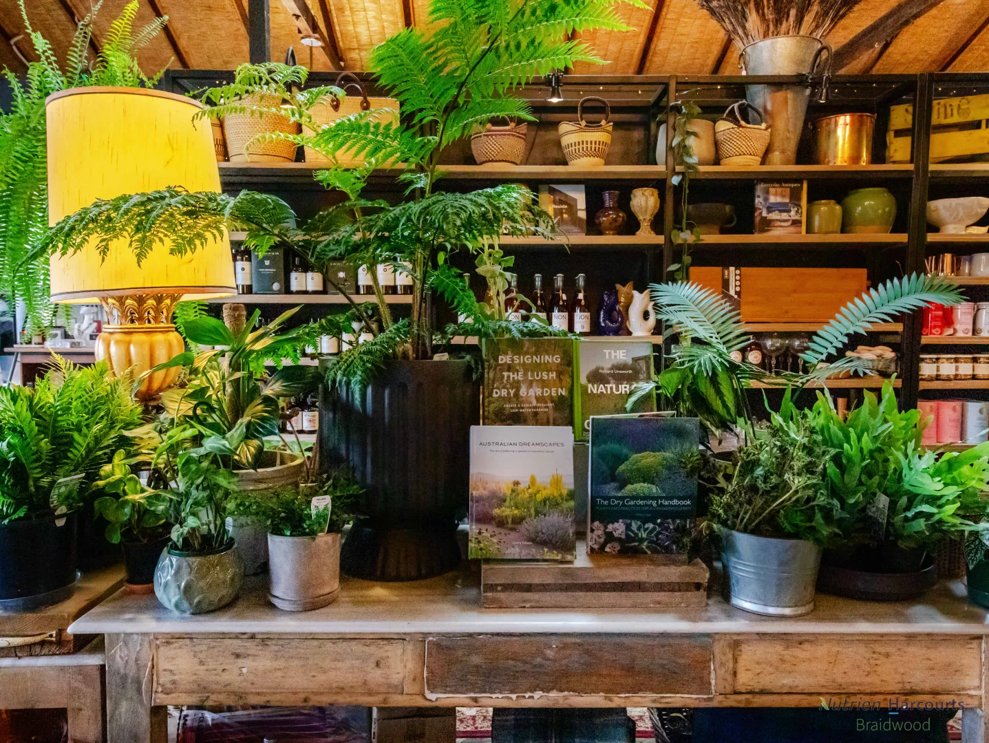 Additional image 8 of 103 Wallace, Braidwood NSW 2622