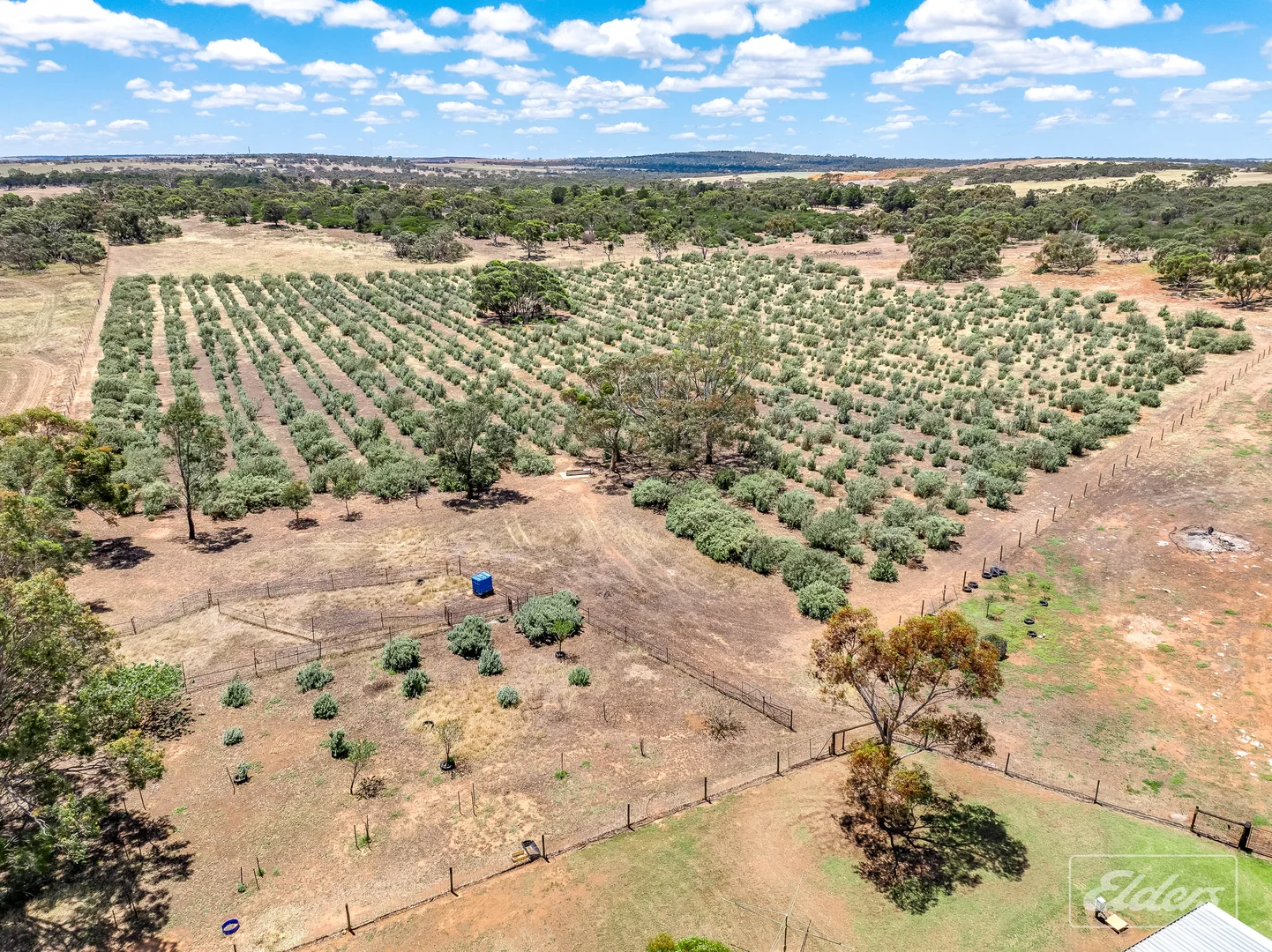 Additional image 35 of 775C North Bremer Road, Hartley SA 5255