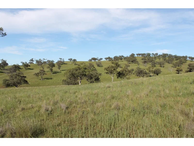 Additional image 2 of Golden Highway, Cassilis NSW 2329