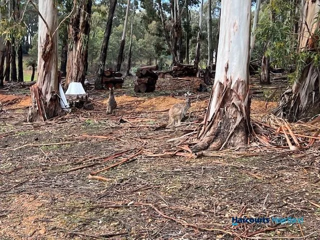 Additional image 33 of 46 Buckley Road, Carlotta WA 6275