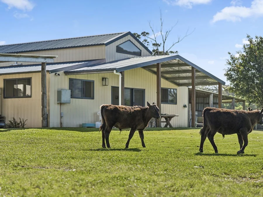 Additional image 6 of Lot 2 Gillards Road, Bucca NSW 2450