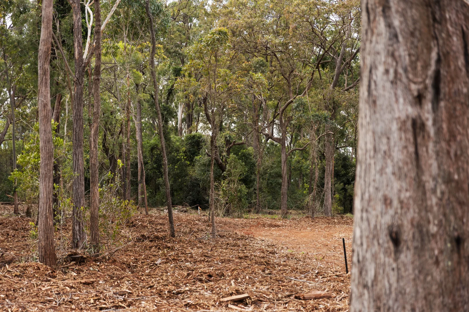 Additional image 13 of Lot 107 Mahs Court, Highfields QLD 4352