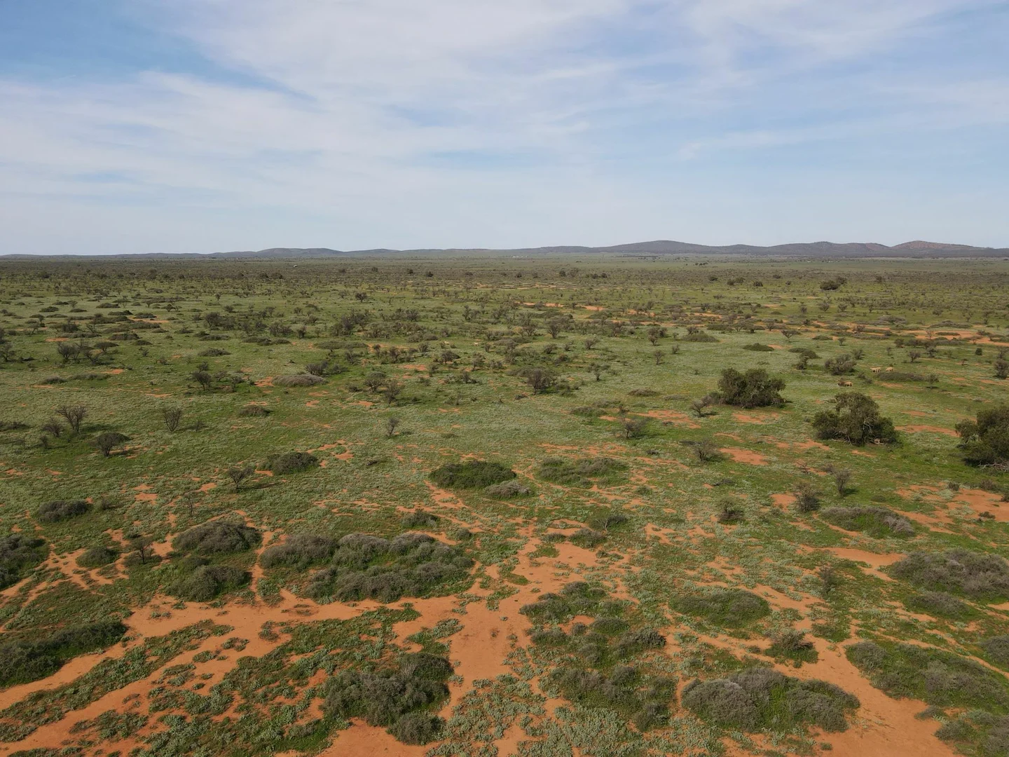 Additional image 2 of 'Acacia Ridge' 511 Tapscott Rd, Orroroo SA 5431