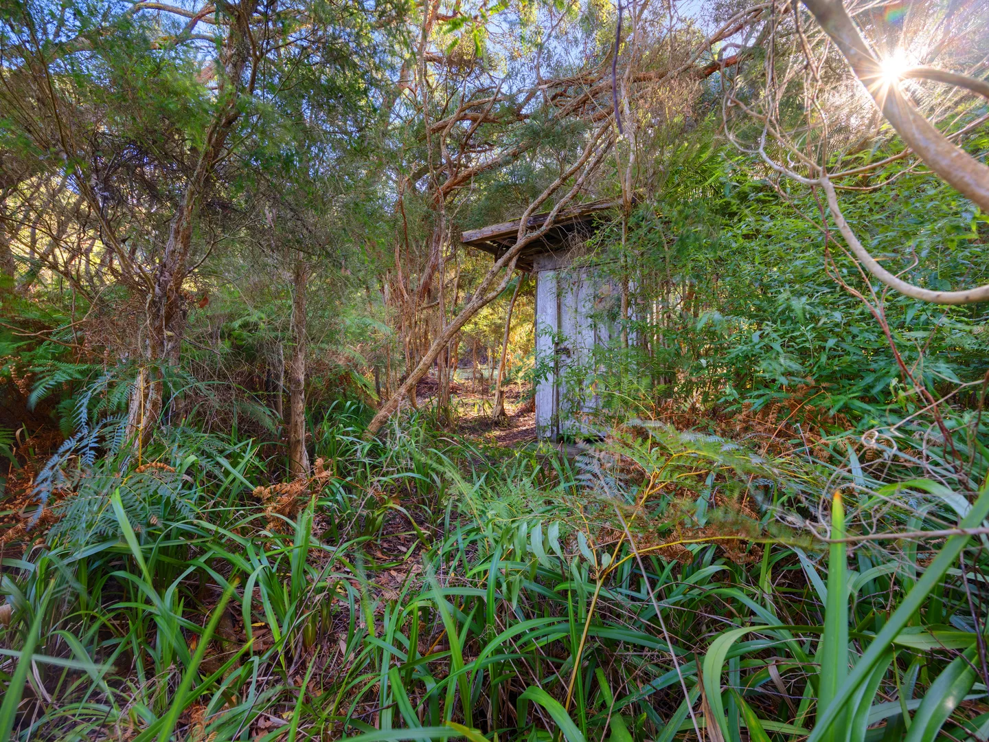 Additional image 11 of 15 Caringal Street, Waratah Bay VIC 3959