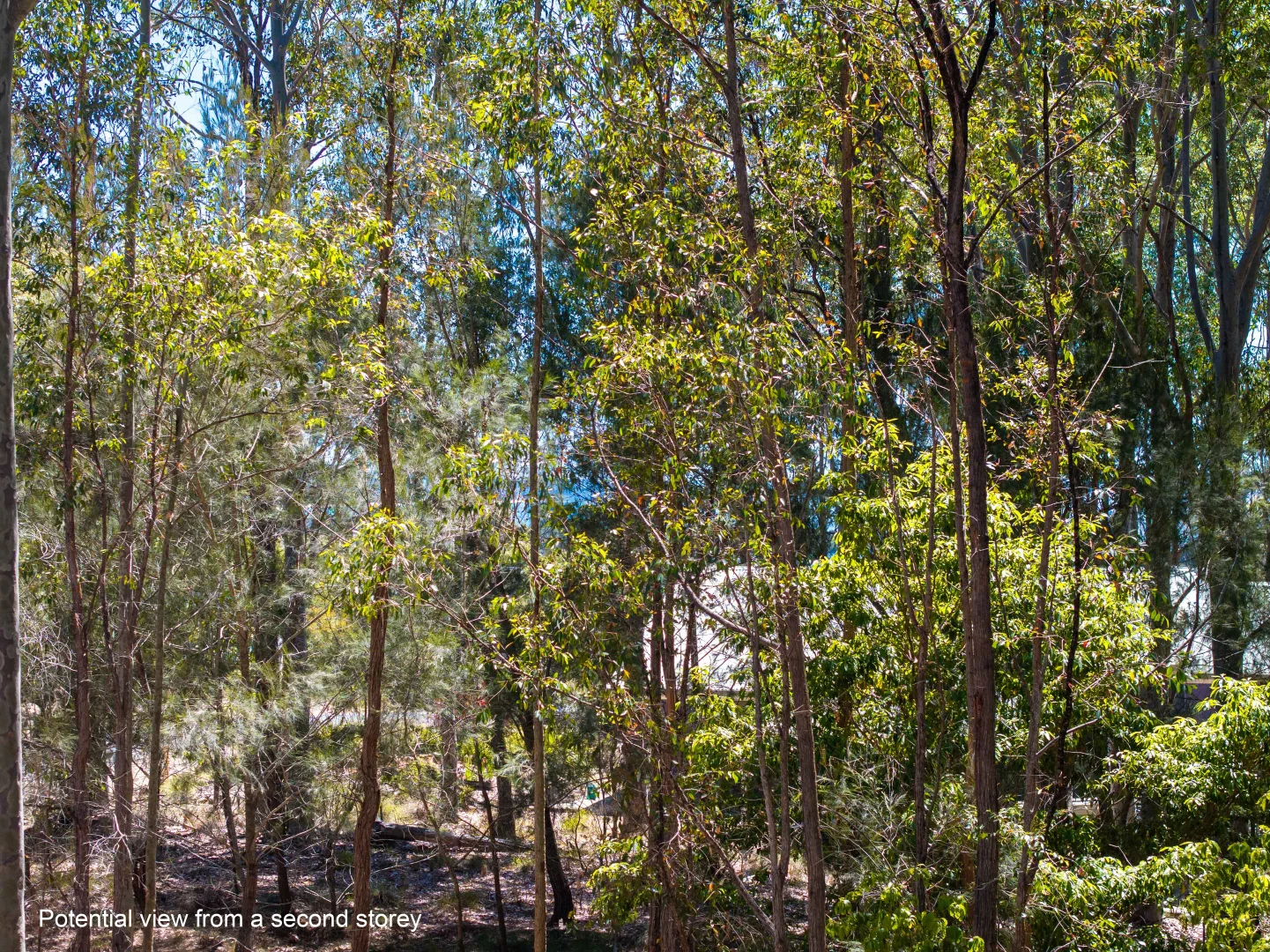 Additional image 16 of 46-52 Hazel Road, Moruya Heads NSW 2537