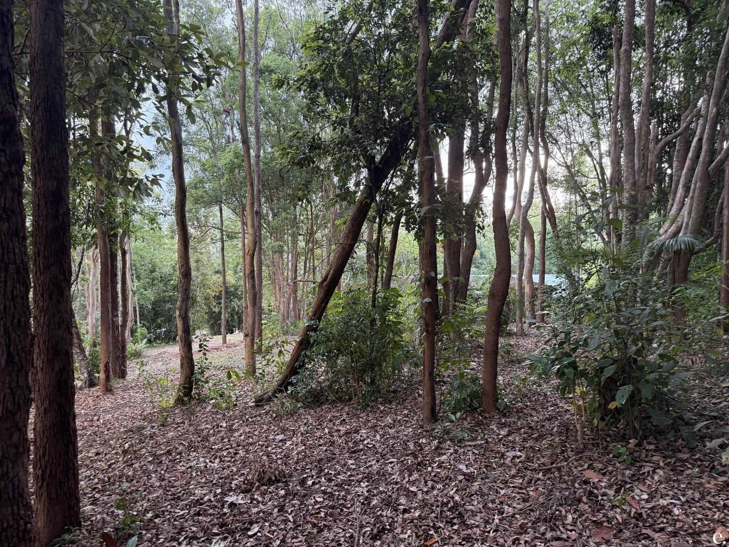 Additional image 9 of Lot 3-9/3 Penda Street, Yungaburra QLD 4884