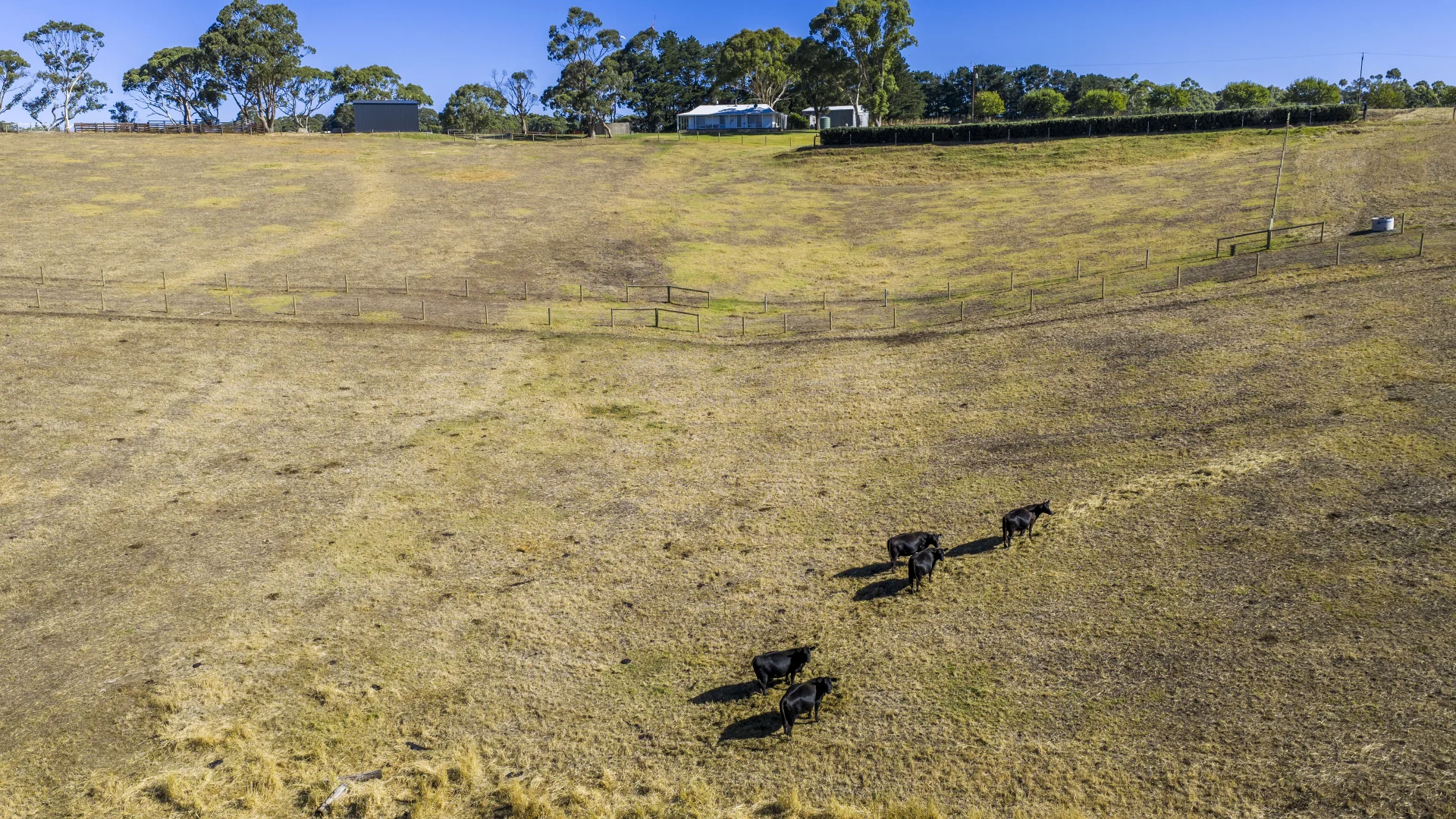 Additional image 71 of 224 Nicol Road, Meadows SA 5201