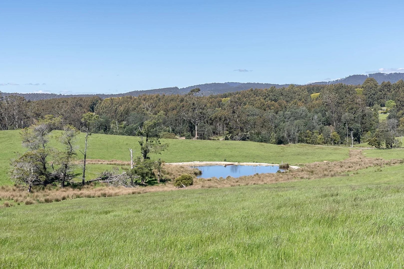 Additional image 19 of 696 Golconda Road, Lebrina TAS 7254