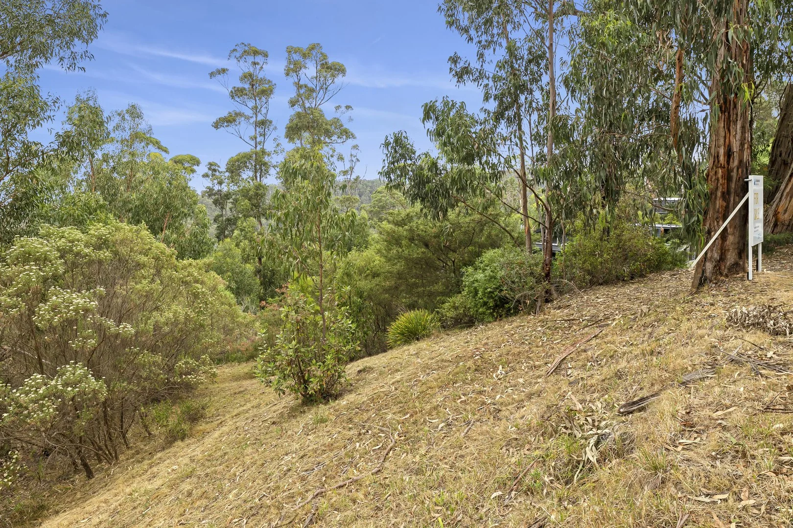 50 Karingal Drive, Wye River VIC 3234