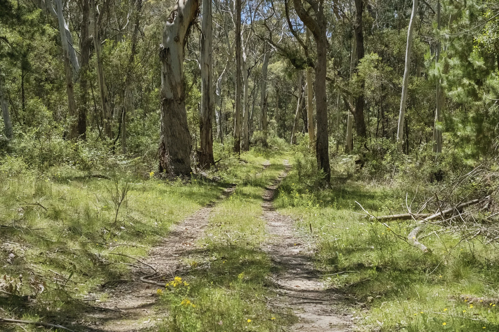 Additional image 6 of 321 Log Bridge Creek Road, Wee Jasper NSW 2582