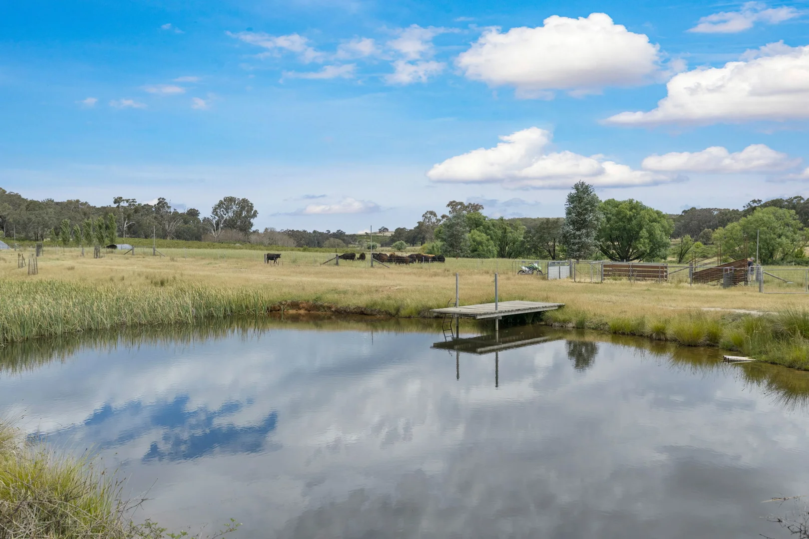 Additional image 5 of 2025 Rugby Road, Frogmore Via, Boorowa NSW 2586