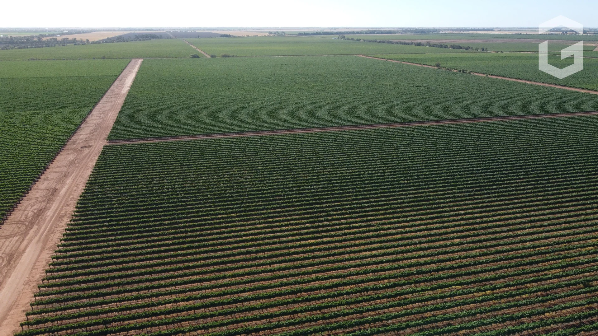 Additional image 6 of . Mansell Road, Hanwood NSW 2680