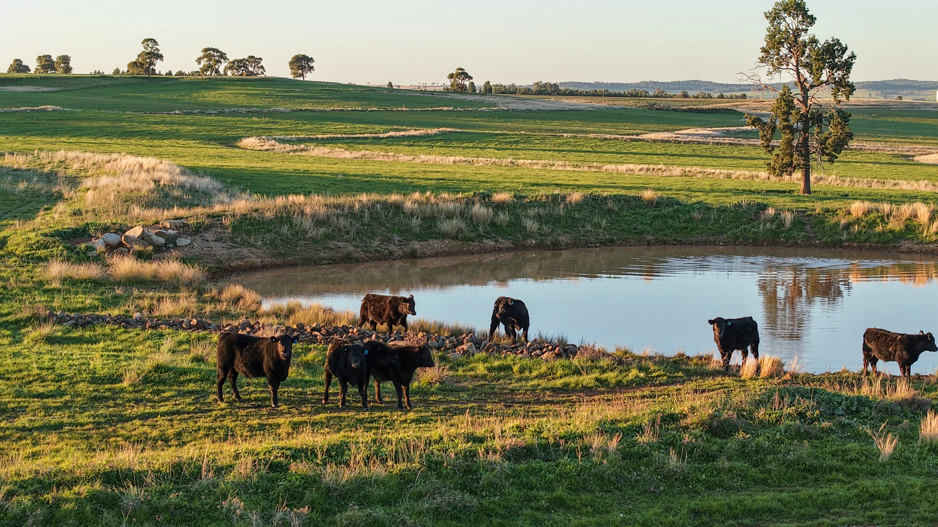 Additional image 14 of 38 Tallawonga Road, Elong Elong NSW 2831