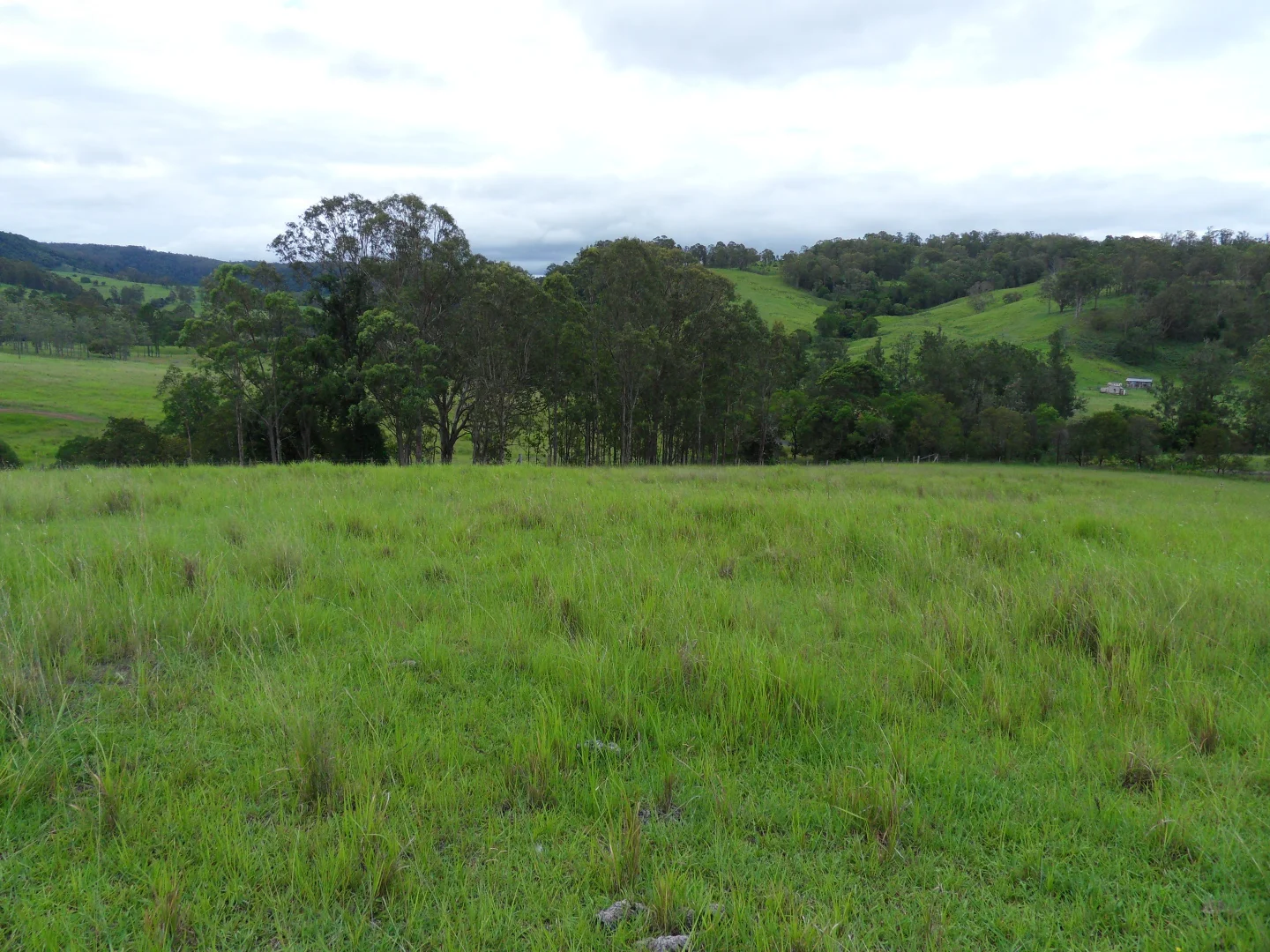 Additional image 21 of 665 Theresa Creek Road, Theresa Creek NSW 2469