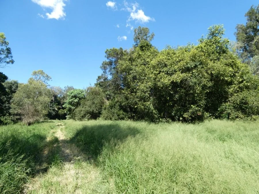 Additional image 28 of 1097 Blackman Gap Road, Colosseum QLD 4677